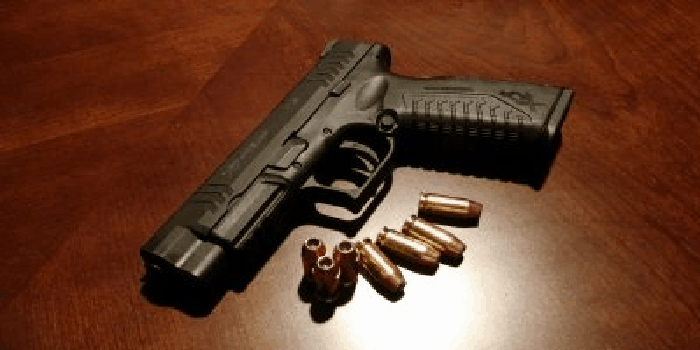 One time federal courthouse worker pleads in gun case