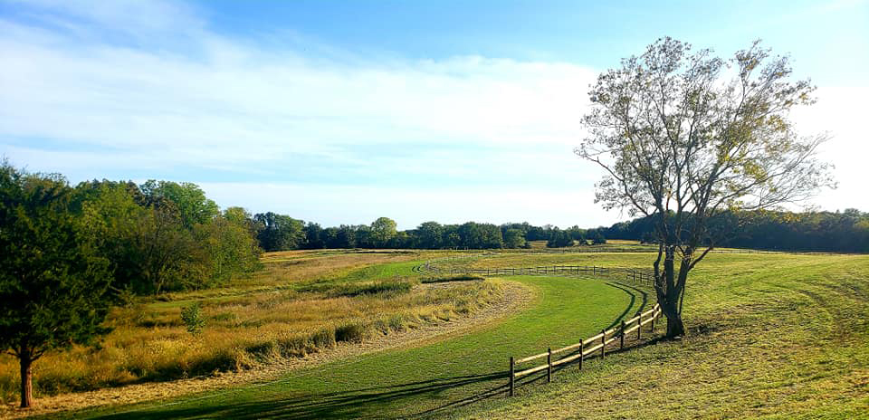 cross country course cropped (002)