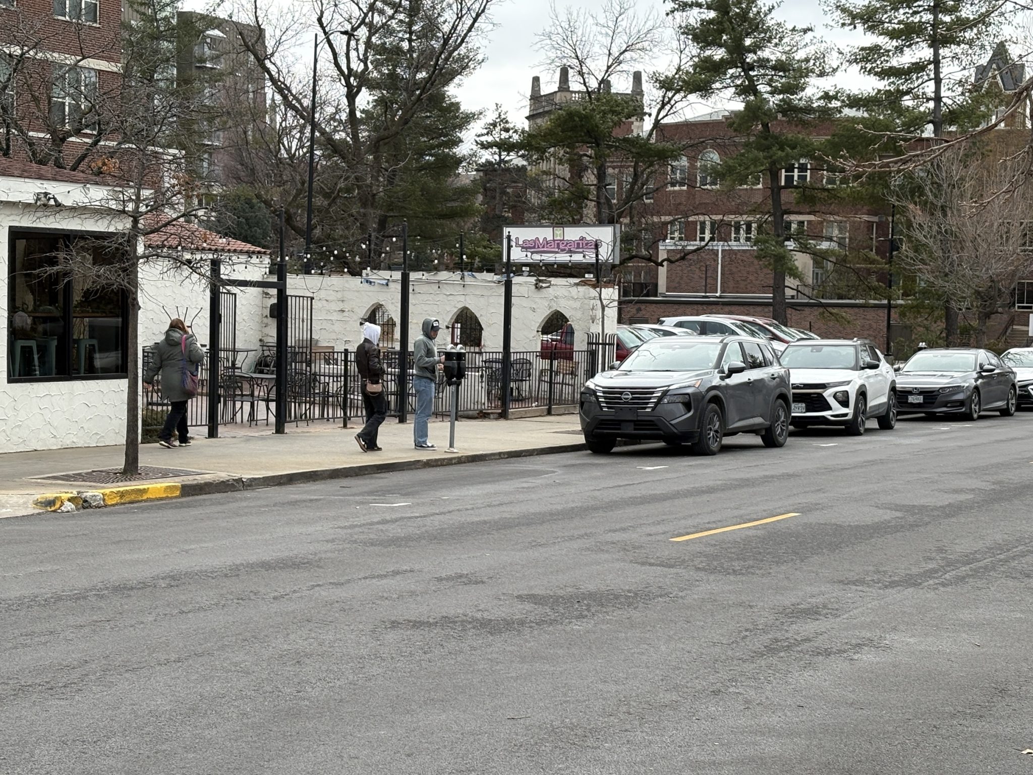 parking meter 1 (005)