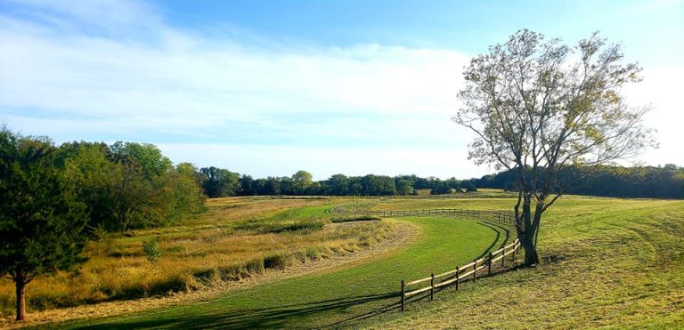cross country course cropped